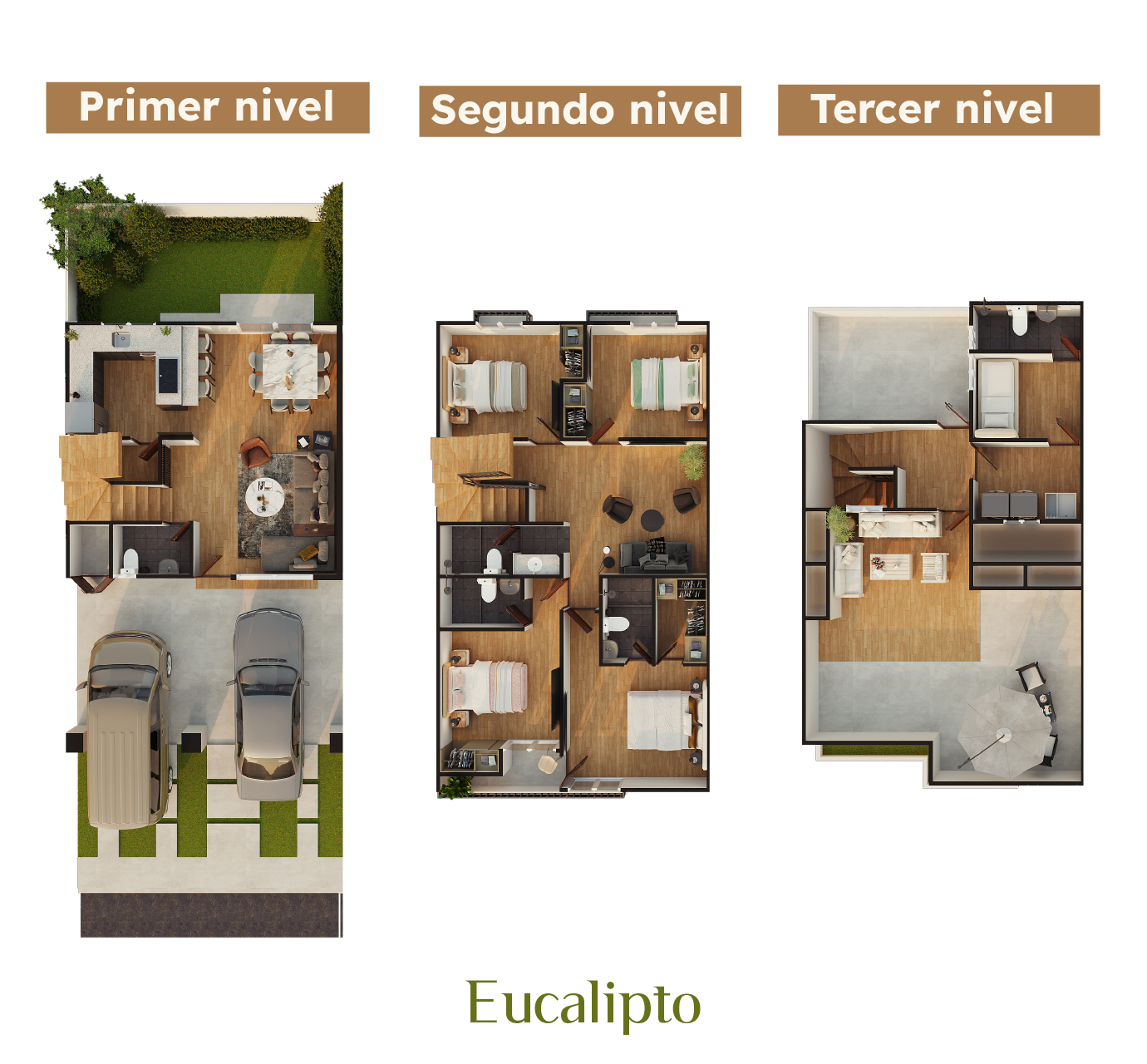 Eucalipto